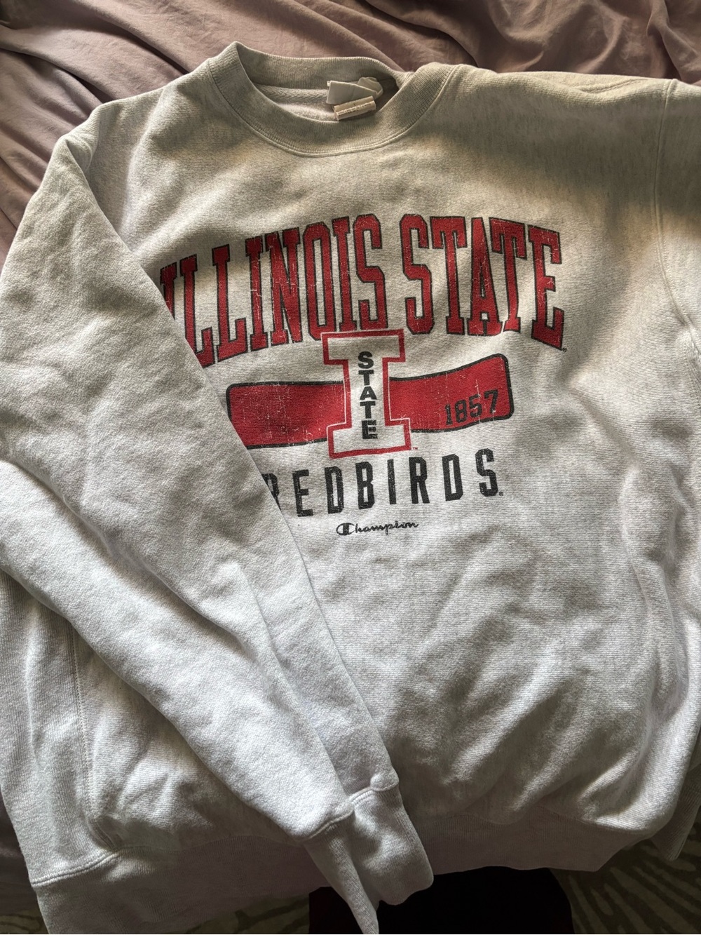 Illinois State Champion Crewneck